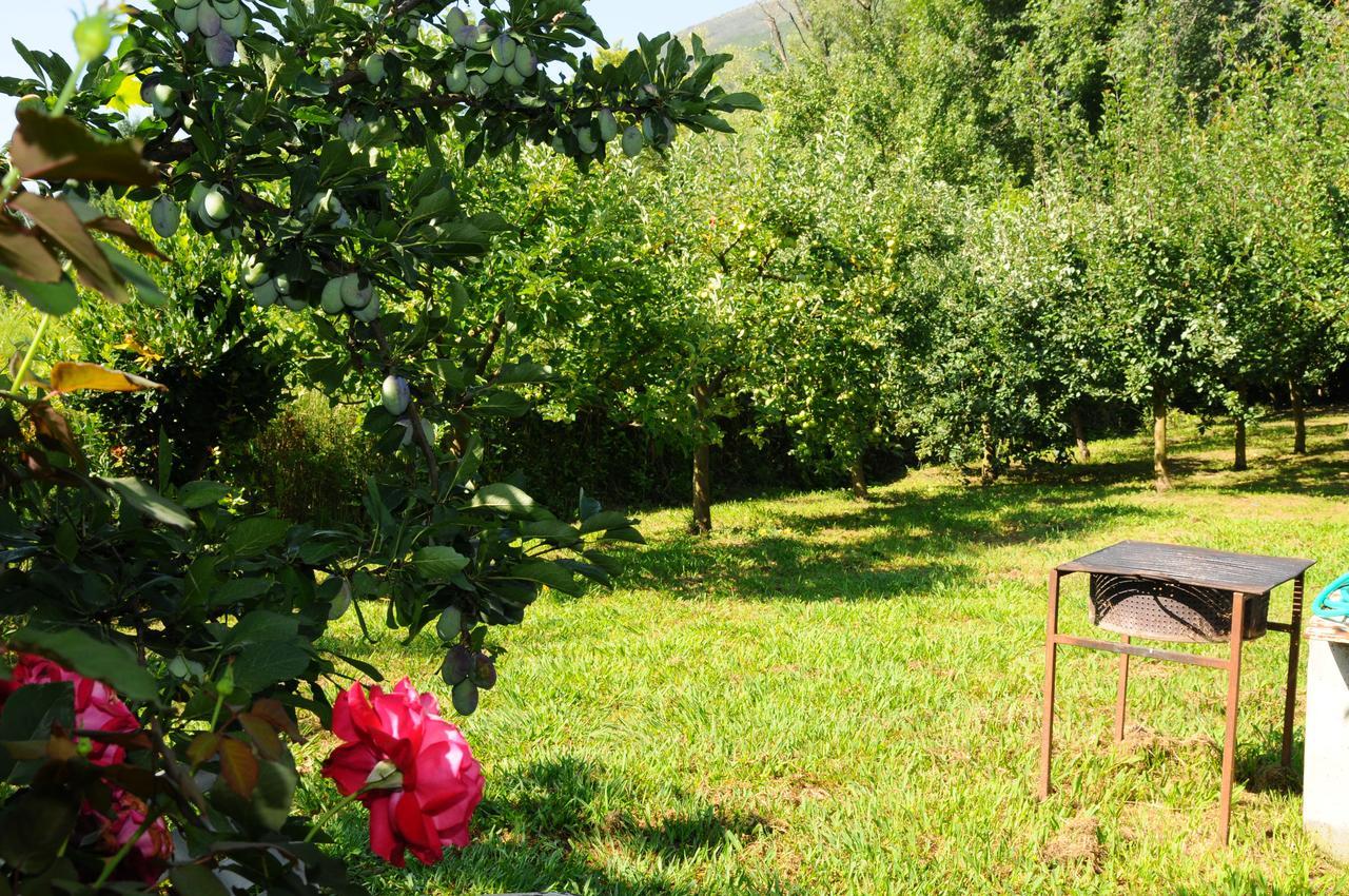 Guest house Markovic